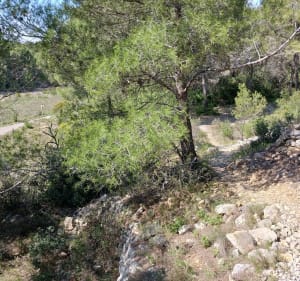 L'ancienne bergerie et la Fontaine des Chevriers - Gruissan - 5