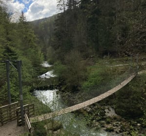 Découverte de la Bienne et passerelles himalayennes - Hauts-de-Bienne - 5