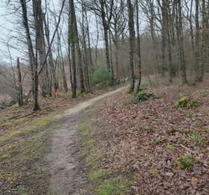 Lac du Der en Haute Marne - Saint-Dizier - 3