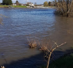 Balade de Véretz à Azay-sur-Cher - Pascal - 2