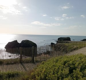 Balade par le port de Saint-Gilles - Le Fenouiller - 4