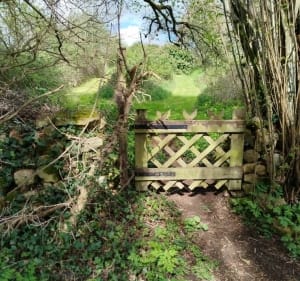 Chemins vers le château de Sansac - Chassiecq - 3