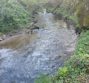 Circuit du ruisseau depuis Lassay-les-Châteaux - Lassay-les-Châteaux - 5