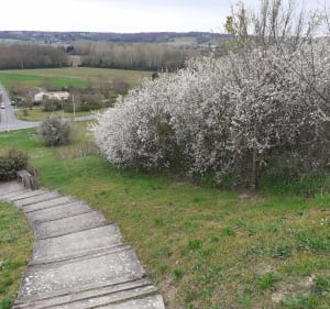 Boucle dans la campagne entre Monségur et Sainte-Gemme - Monségur - 3