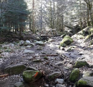 Lac de Blanchemer et sommet du Rainkopf - La Bresse - 3