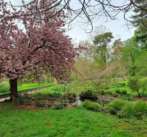 Bois de Vincennes depuis Maisons-Alfort - Maisons-Alfort - 4