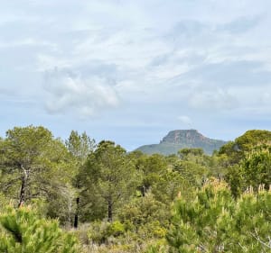 Circuit du lac des Requins - Roquebrune-sur-Argens - 3
