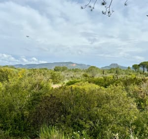 Circuit du lac des Requins - Roquebrune-sur-Argens - 5