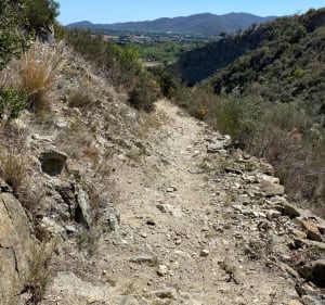 Boucle dans le massif d’Ille-sur-Têt - Ille-sur-Têt - 4
