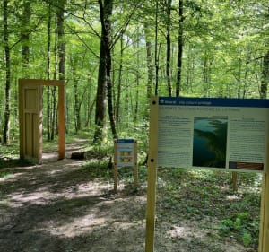 Sentier "Le colosse aux pieds d’argile" - Piney - 4