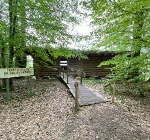 Sentier "Le colosse aux pieds d’argile" - Piney - 5