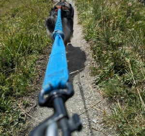Wandeling naar La Roche Parstire, via La Charmette - Beaufort - 4