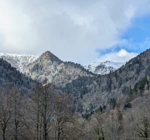 Le cas et cascades de la Wormsa - Metzeral - 3