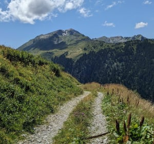 Wandeling naar La Roche Parstire, via La Charmette - Beaufort - 5