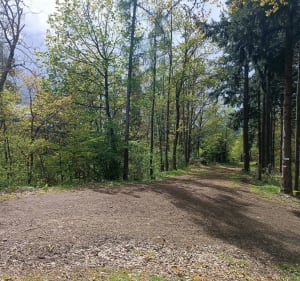Col et place du Grumbach retour par Engelbourg - Thann - 4