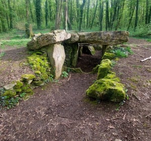 Campagne normande à Vexin-sur-Epte - Vexin-sur-Epte - 3