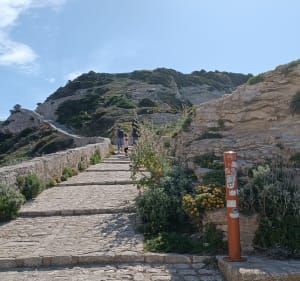 Le long des falaises de Bonifacio - Bonifacio - 3