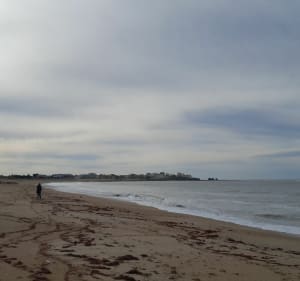 Entre mer et forêt à Saint-Hilaire-de-Riez - Saint-Hilaire-de-Riez - 3