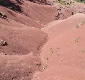 Pla de la Muga - Serralongue - 3