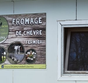 Promenade au Quinquizio, par les Mouës - Molac - 3