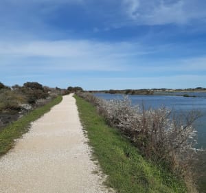 Prachtige wandeling tussen zee en moeras bij La Chaume, via het strand van Paracou - Les Sables-d'Olonne - 3