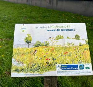 Petite randonnée par Le Steentje - Bailleul - 4
