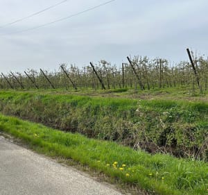 Petite randonnée par Le Steentje - Bailleul - 5