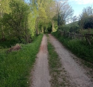 Culin entre étang et sous-bois - Culin - 3