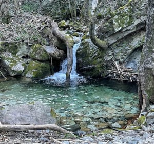 Autour du Lac de Villefort - Pourcharesses - 5