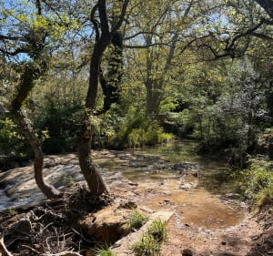 Sources de l’Huveaune et vue sur la Sainte-Baume - Saint-Zacharie - 3