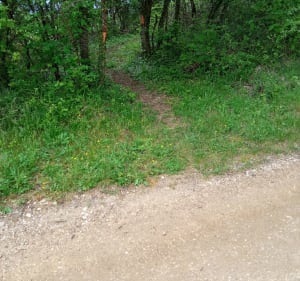 Boucle de Champvans sur Plumont - Champvans - 3