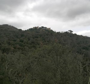 Boucle Sant Marti - Ille-sur-Têt - 5
