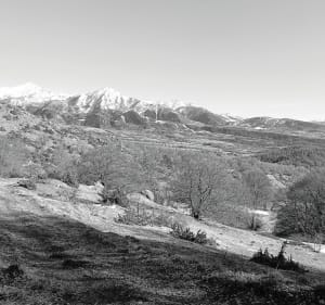Le canal de Malcro et Devant le Bois - Saint-Michel-de-Chaillol - 3