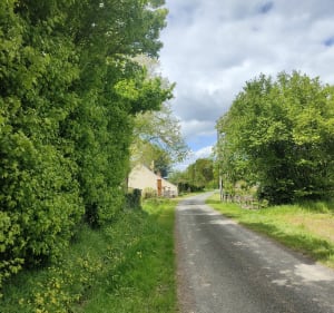 Boucle à Nouant-Les-Fontaines - Nouans-les-Fontaines - 5