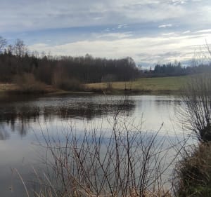 Vue sur la vallée de la Moselle - Ramonchamp - 3