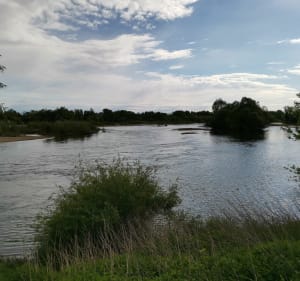 Balade dans les mortes du Doubs - Fretterans - 4