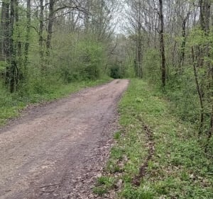 La Beauce entre champs et forêts - Maisons - 3