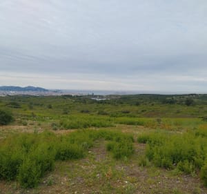 Balade sur les  hauteurs de Marseille - Alain - 3