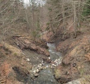 Balade sur une partie canal de Gap - Gap - 3