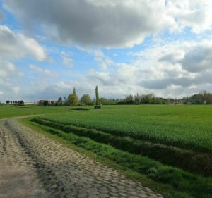De Neuville-en-Ferrain à Halluin par la campagne - Neuville-en-Ferrain - 4