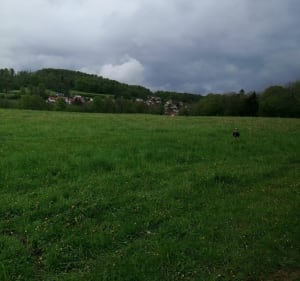 Balade autour de Maîche - GERARD - 3