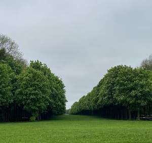 Parc de Saint Cloud et haras de Jardy - Ville-d'Avray - 5