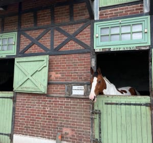 Parc de Saint Cloud et haras de Jardy - Ville-d'Avray - 3