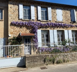 Boucle Grezieu la Varenne -Pollionnay - Grézieu-la-Varenne - 4