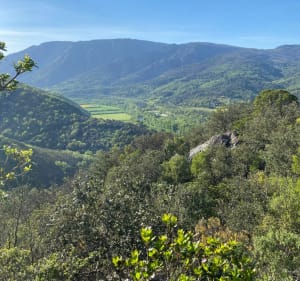 De Poujol-sur-Orbau au Col des Aires et Roquebou - Le Poujol-sur-Orb - 5