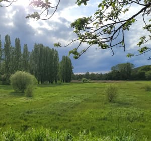 Tour des Bassins Gif-Bures - Gif-sur-Yvette - 3