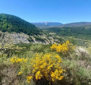 Superbe boucle Gravel au Nord Ouest de Buis-les-Baronnies - Buis-les-Baronnies - 3