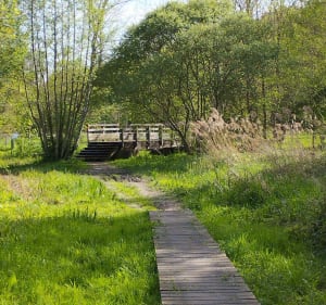 Balade dans la Val de Choisille - Fondettes - 3
