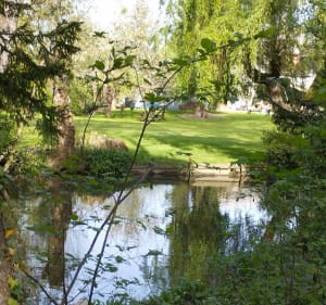 Balade dans la Val de Choisille - Fondettes - 5