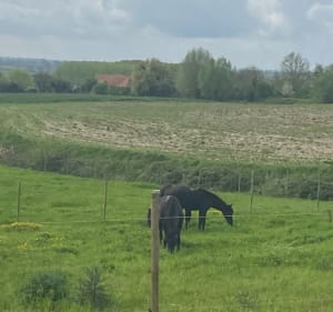 Balade Franco-Belge à travers le Ravensberg - Bailleul - 3